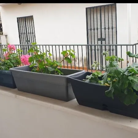 Apartamento Brianna Jerez de la Frontera Exterior photo